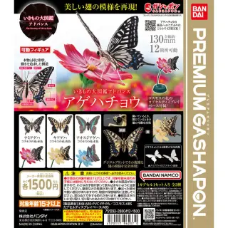 いきもの大図鑑アドバンス アゲハチョウの画像