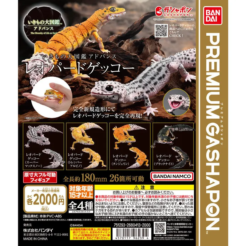 いきもの大図鑑アドバンス レオパードゲッコーの台紙