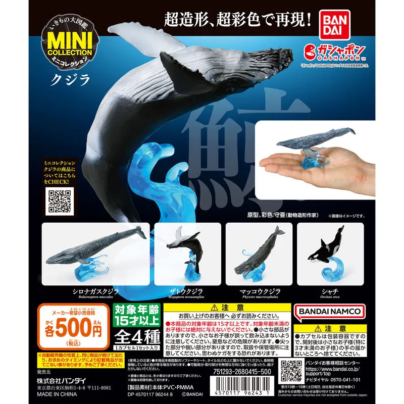 いきもの大図鑑ミニコレクション クジラの台紙
