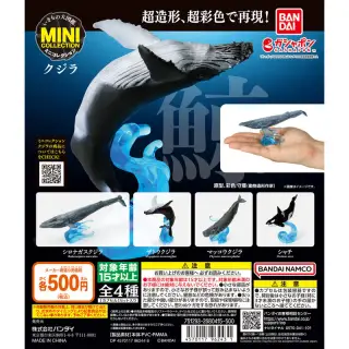 いきもの大図鑑ミニコレクション クジラの画像