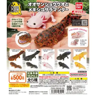 いきもの大図鑑レプティ オオサンショウウオとメキシコサラマンダーの画像