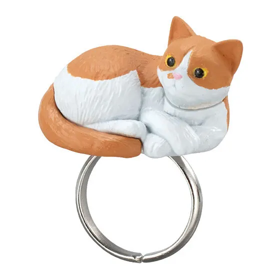 Ringcolle! ほっこりんぐ ねこなべ2 茶白
