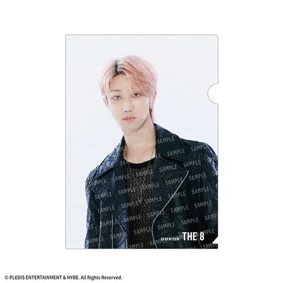 SVTクリアファイルvol.2 From PLEDIS ENTERTAINMENT SEVENTEEN THE 8