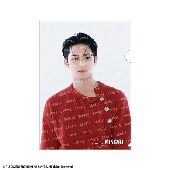 SVTクリアファイルvol.2 From PLEDIS ENTERTAINMENT SEVENTEEN MINGYU