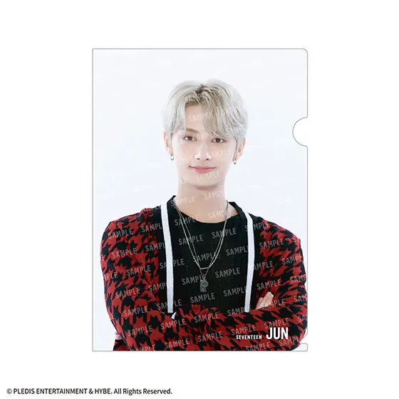 SVTクリアファイルvol.2 From PLEDIS ENTERTAINMENT SEVENTEEN JUN