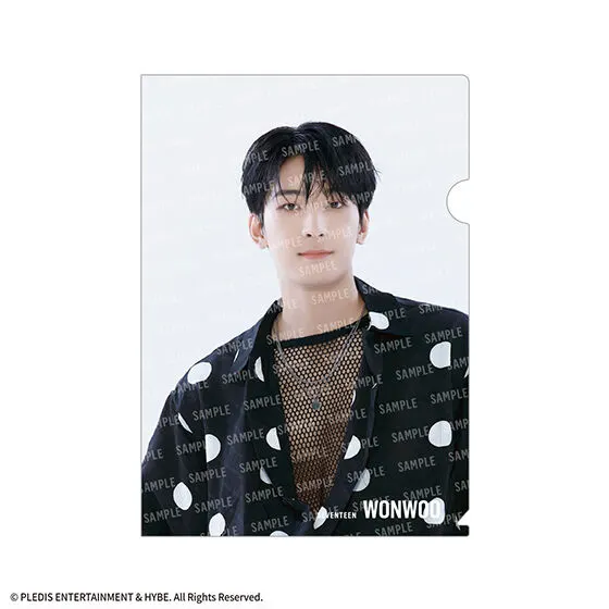SVTクリアファイルvol.2 From PLEDIS ENTERTAINMENT SEVENTEEN WONWOO