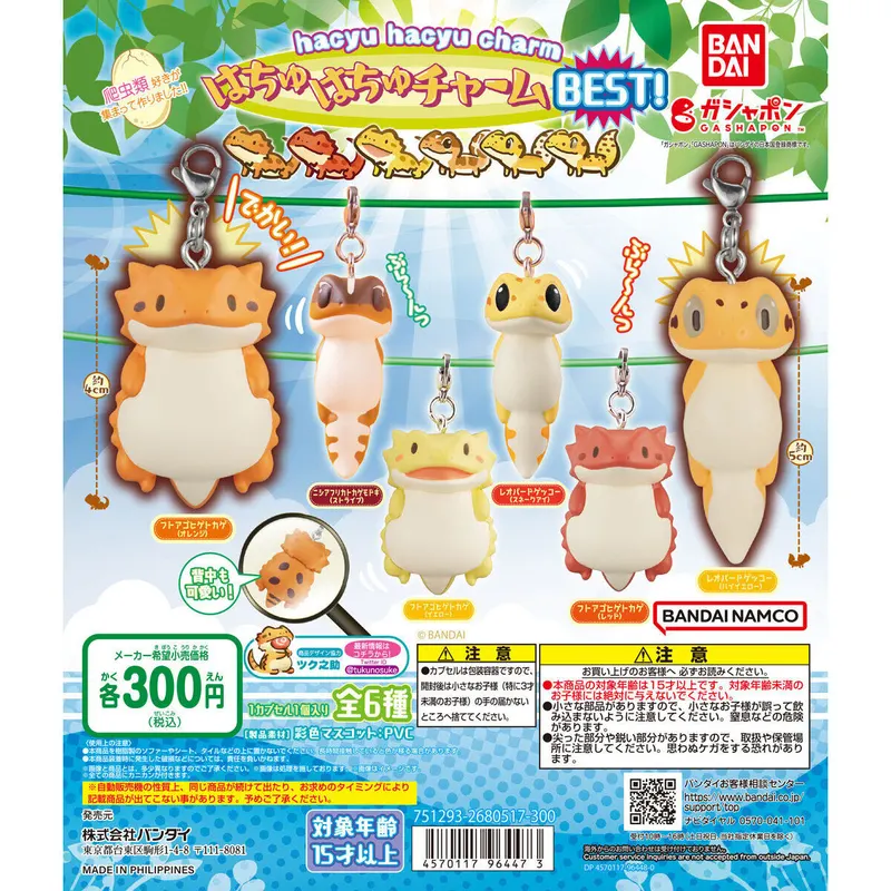 はちゅはちゅチャーム~BEST!~の台紙