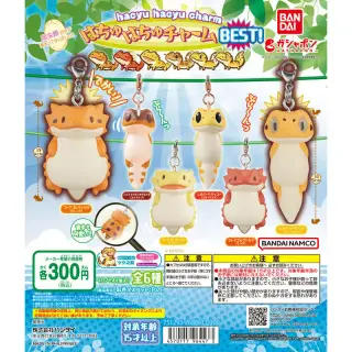 はちゅはちゅチャーム～BEST!～の画像