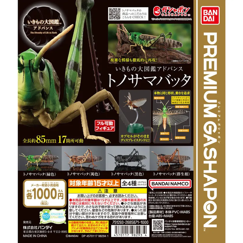 いきもの大図鑑アドバンス トノサマバッタの台紙