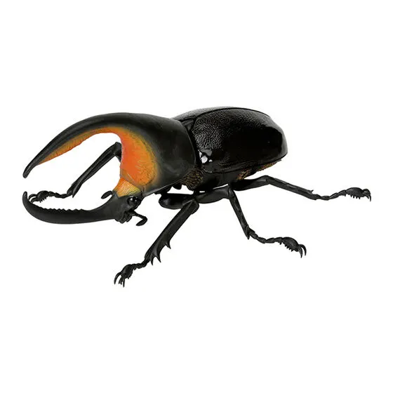 いきもの大図鑑 かぶとむし05 サタンオオカブト