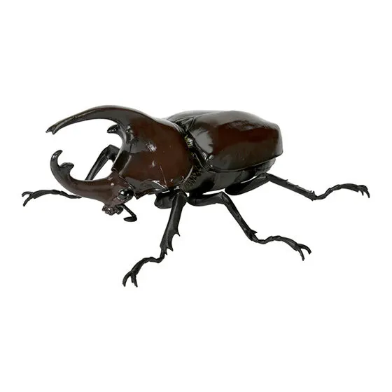 いきもの大図鑑 かぶとむし05 ケンタウルスオオカブト