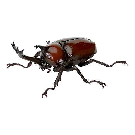 いきもの大図鑑 かぶとむし05 ヤマトカブトムシ（赤褐色）