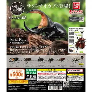 いきもの大図鑑 かぶとむし05の画像