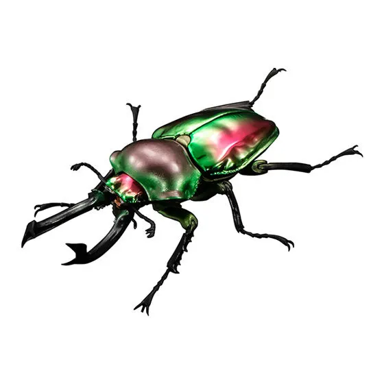 いきもの大図鑑アドバンス ニジイロクワガタ ニジイロクワガタ(ノーマル)