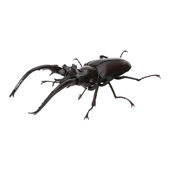 いきもの大図鑑 くわがた06 プラネットミヤマクワガタ