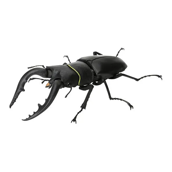 いきもの大図鑑 くわがた06 ノコギリクワガタ(本土)黒