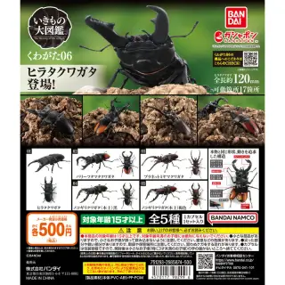 いきもの大図鑑 くわがた06の画像