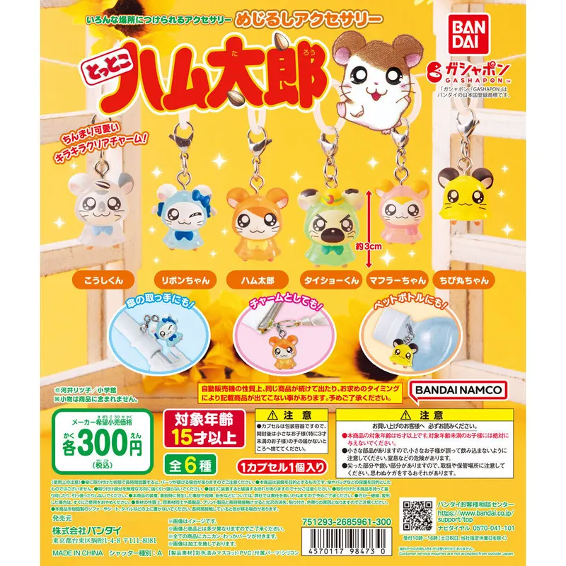とっとこハム太郎 めじるしアクセサリーの台紙