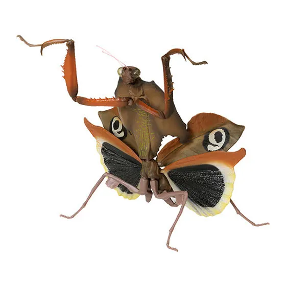 いきもの大図鑑 かまきり04 メダマカレハカマキリ