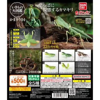 いきもの大図鑑 かまきり04の画像