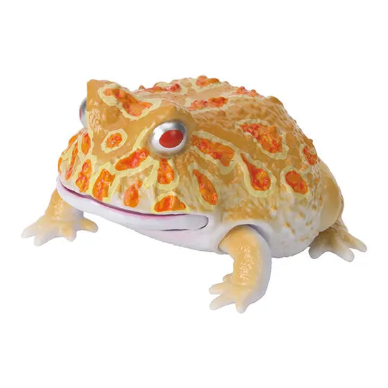 いきもの大図鑑レプティ ツノガエルとアメフクラガエル クランウェルツノガエル（アルビノイエロー）