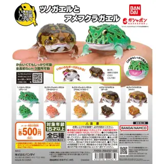 いきもの大図鑑レプティ ツノガエルとアメフクラガエルの画像
