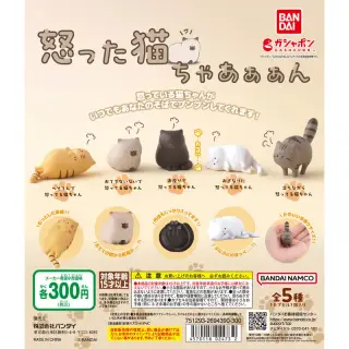 怒った猫ちゃあぁぁんの画像