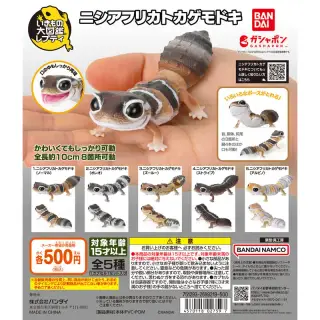いきもの大図鑑レプティ ニシアフリカトカゲモドキの画像