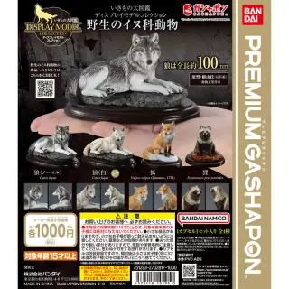 いきもの大図鑑ディスプレイモデルコレクション 野生のイヌ科動物の画像