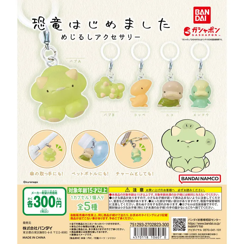 恐竜はじめました めじるしアクセサリーの台紙