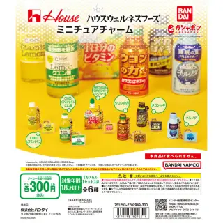 ハウスウェルネスフーズ ミニチュアチャームの画像