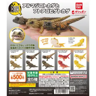 いきもの大図鑑レプティ アルマジロトカゲとフトアゴヒゲトカゲの画像
