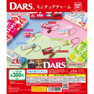DARS ミニチュアチャームの画像
