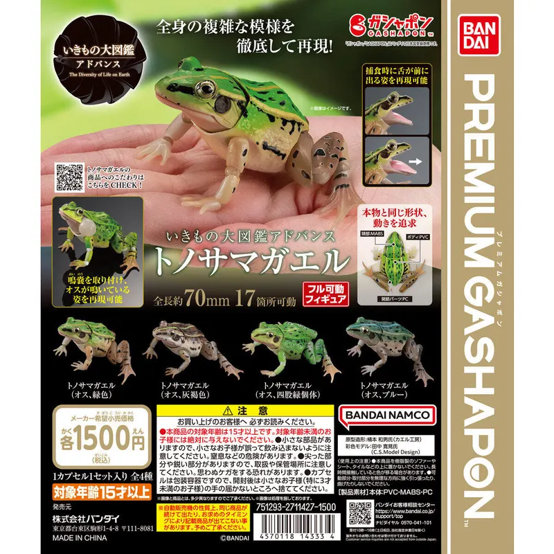 いきもの大図鑑アドバンス トノサマガエルの台紙
