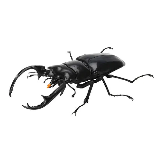 いきもの大図鑑 くわがた07 ウエストウッディオオシカクワガタ