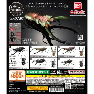 いきもの大図鑑 くわがた07の画像