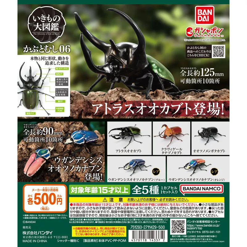 いきもの大図鑑 かぶとむし06の台紙
