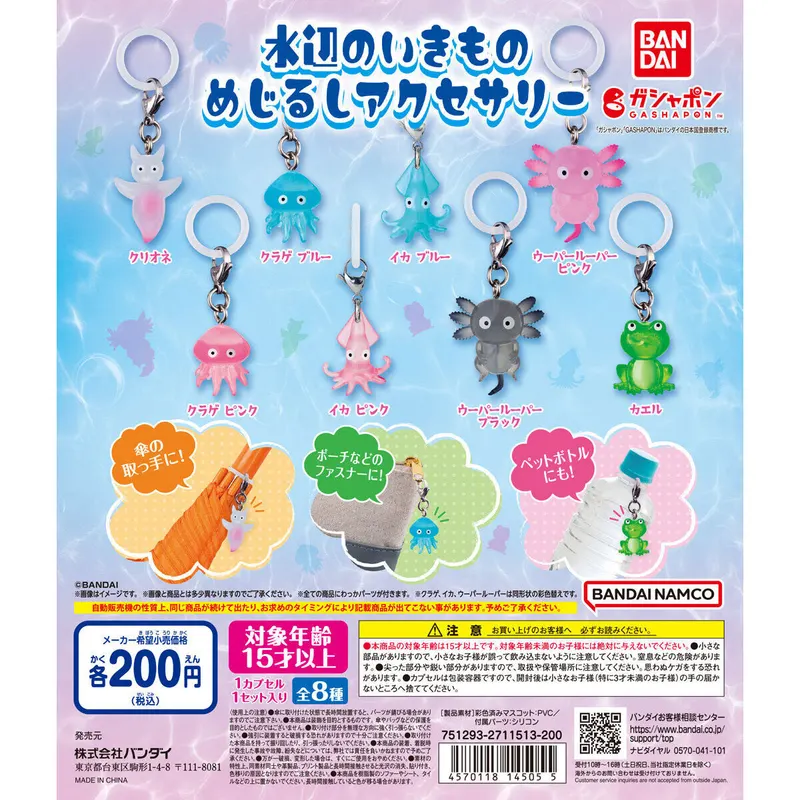 水辺のいきものめじるしアクセサリーの台紙