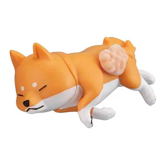 換毛期アニマル ~柴犬の場合~ ラッキーをのこす