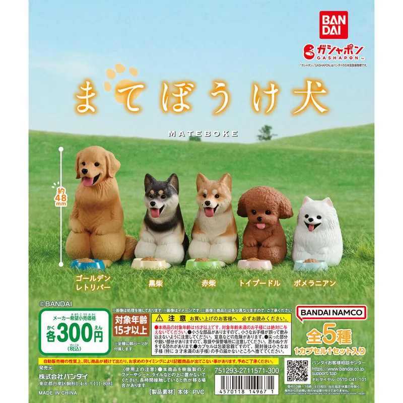 まてぼうけ 犬の台紙