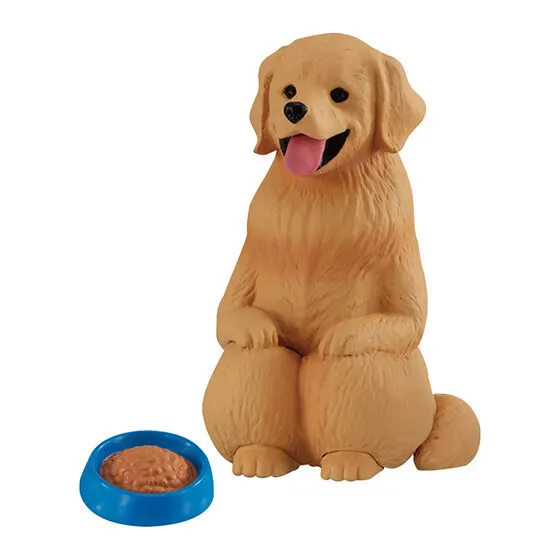 まてぼうけ 犬 ゴールデンレトリバー