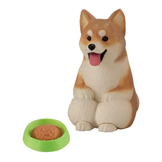 まてぼうけ 犬 赤柴