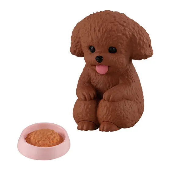 まてぼうけ 犬 トイプードル