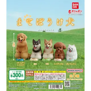 まてぼうけ 犬の画像
