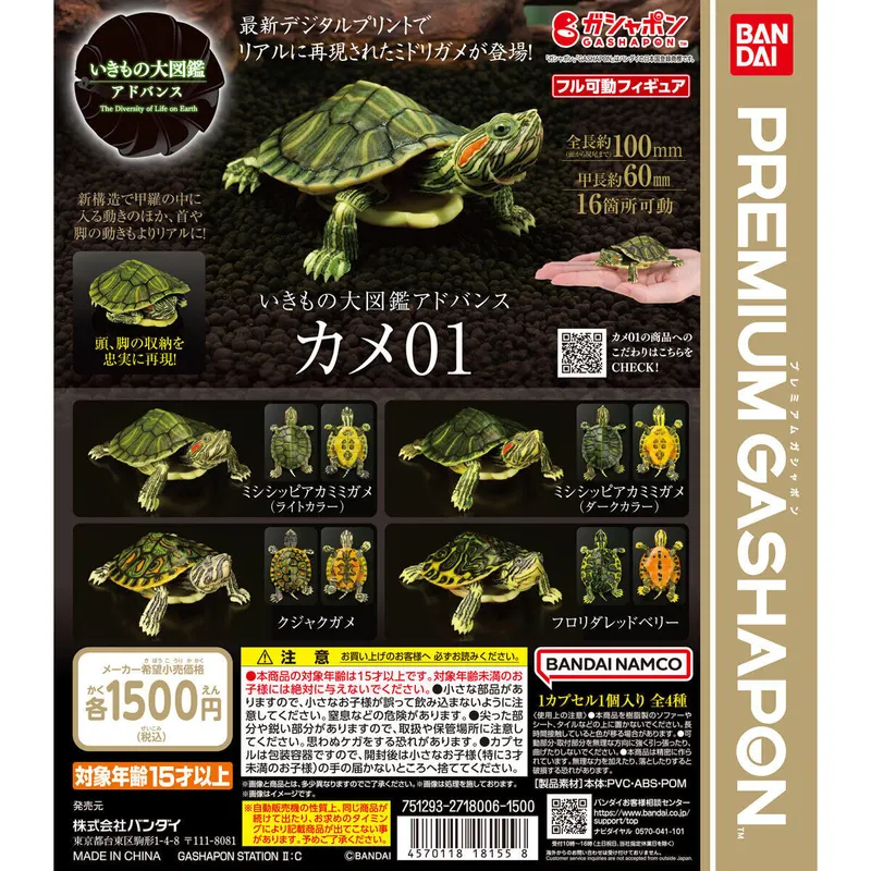 いきもの大図鑑アドバンス カメ01の台紙