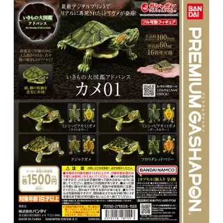いきもの大図鑑アドバンス カメ01の画像
