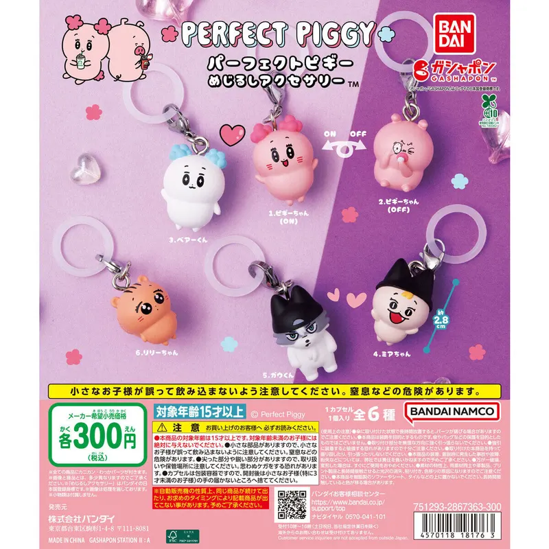 パーフェクトピギー めじるしアクセサリーの台紙