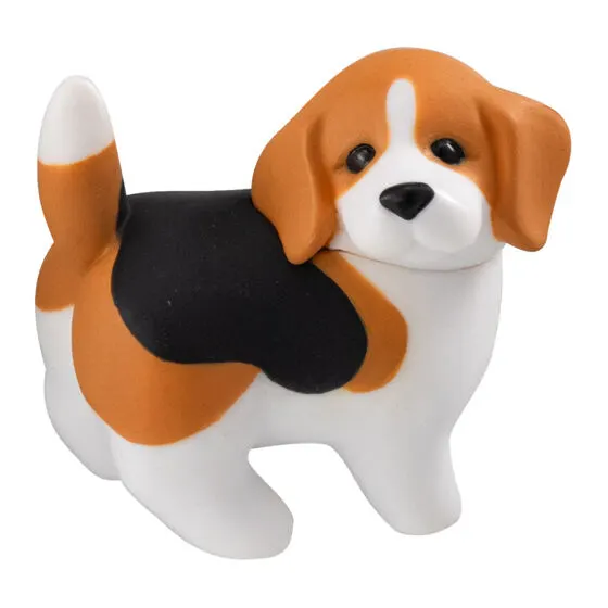 おしりを見せてくれる犬 びーぐる