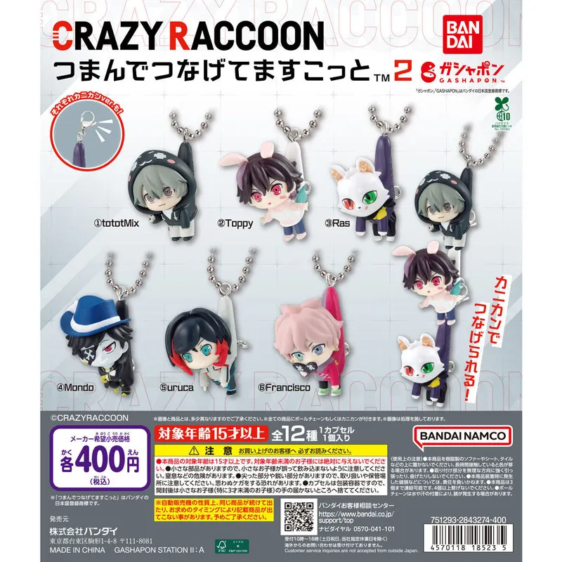 CRAZY RACCOON つまんでつなげてますこっと2の台紙