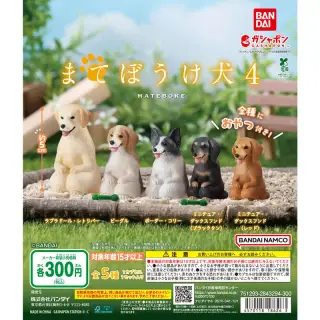 まてぼうけ 犬4の画像